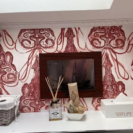 酒店 索鲁普酒店