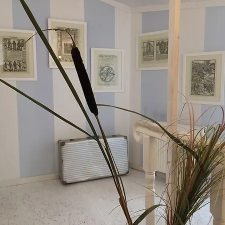 索鲁普酒店 酒店 3*